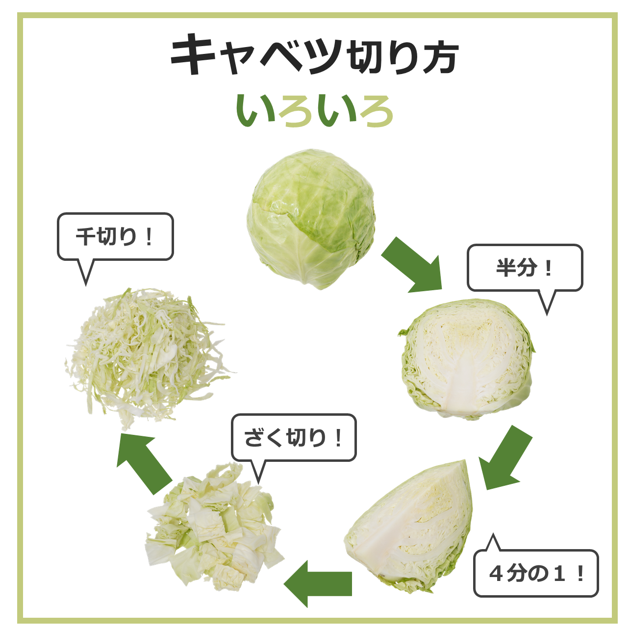 キャベツの切り方大全｜繊維の向きで味が激変するプロの極意2026