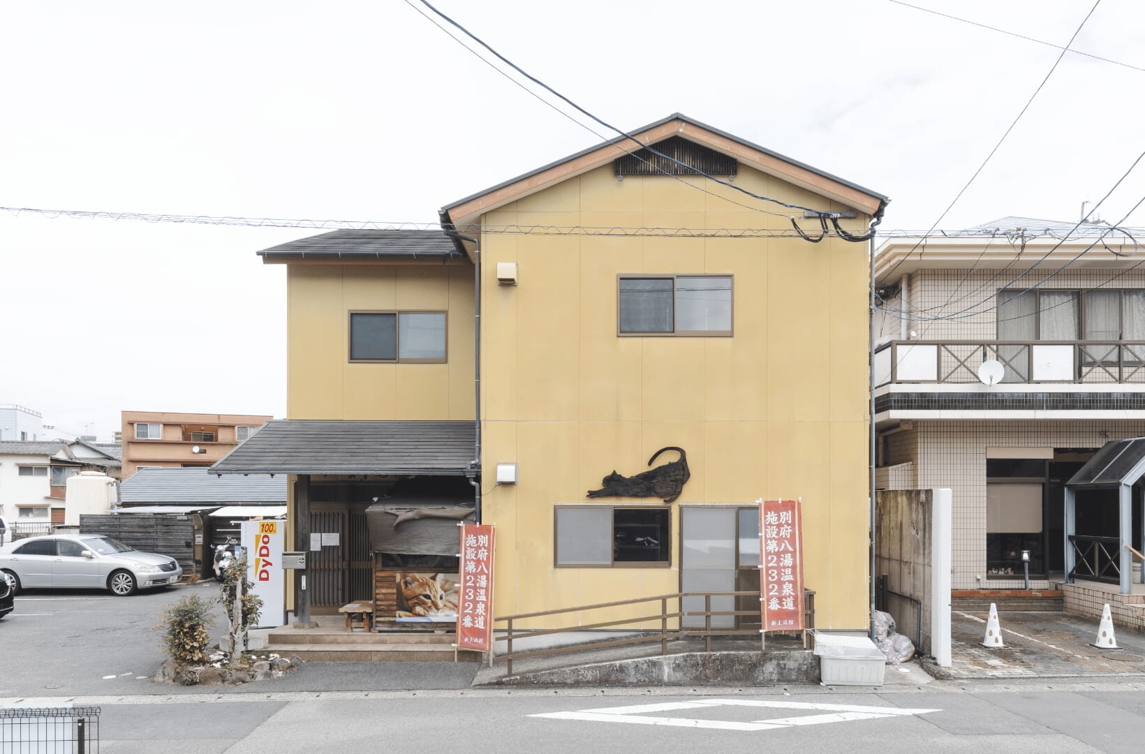 別府・新玉旅館の予約が取れない真相｜猫部屋の実態と最新料金・口コミ徹底解剖