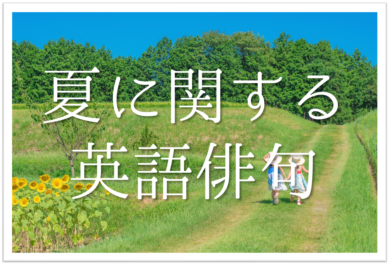 中学生の夏俳句で入賞する秘訣｜宿題を即解決する作り方と傑作例
