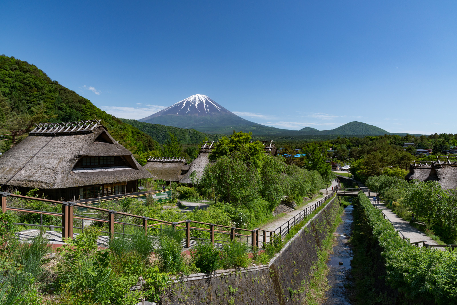 西湖いやしの里根場はなぜ蘇ったのか？災害の真相と現在の見どころ