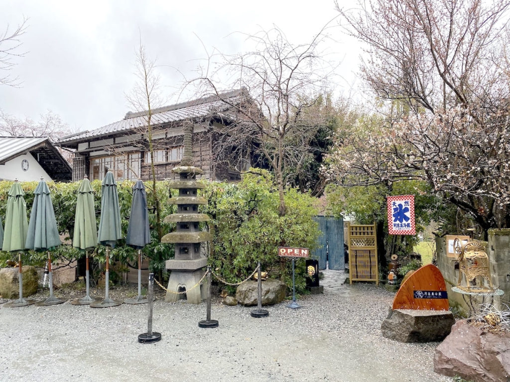 阿左美冷蔵金崎本店の混雑回避術！待ち時間・限定メニュー徹底解剖