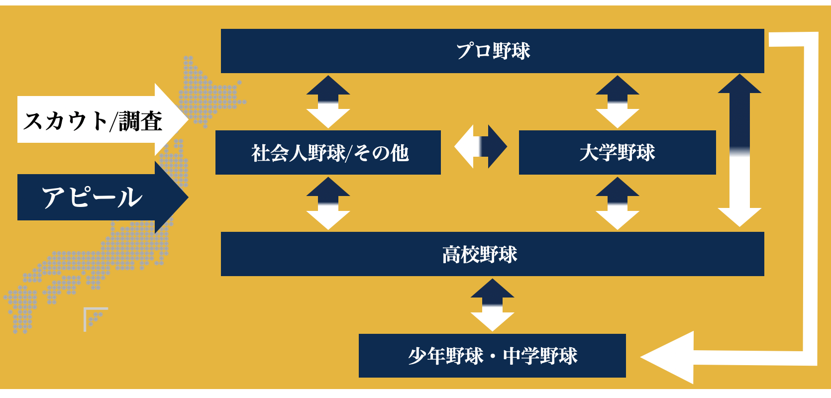 高校野球進路2026徹底追跡！ドラフト指名候補と名門大・社会人内定