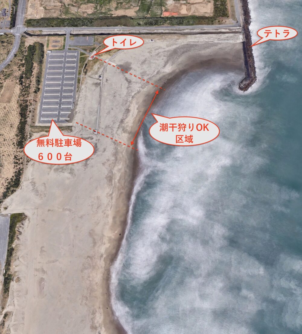 日川浜の最新釣果と実績ポイント徹底解剖【2026年鹿島灘サーフ攻略】