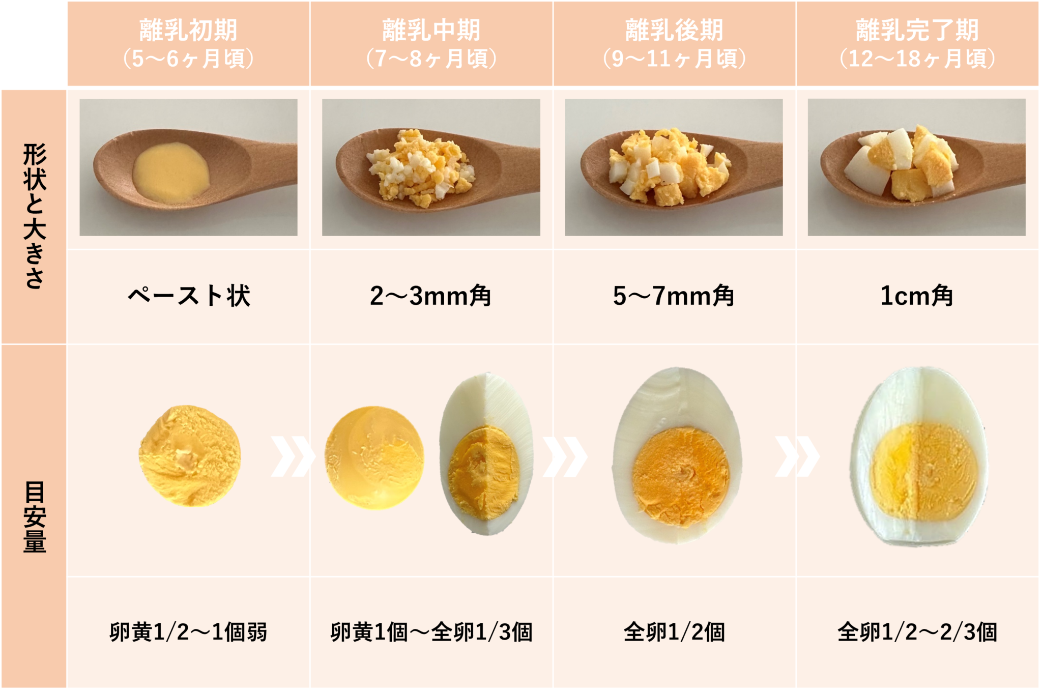 離乳食の卵スケジュール完全版！黄身から全卵へ失敗しない進め方