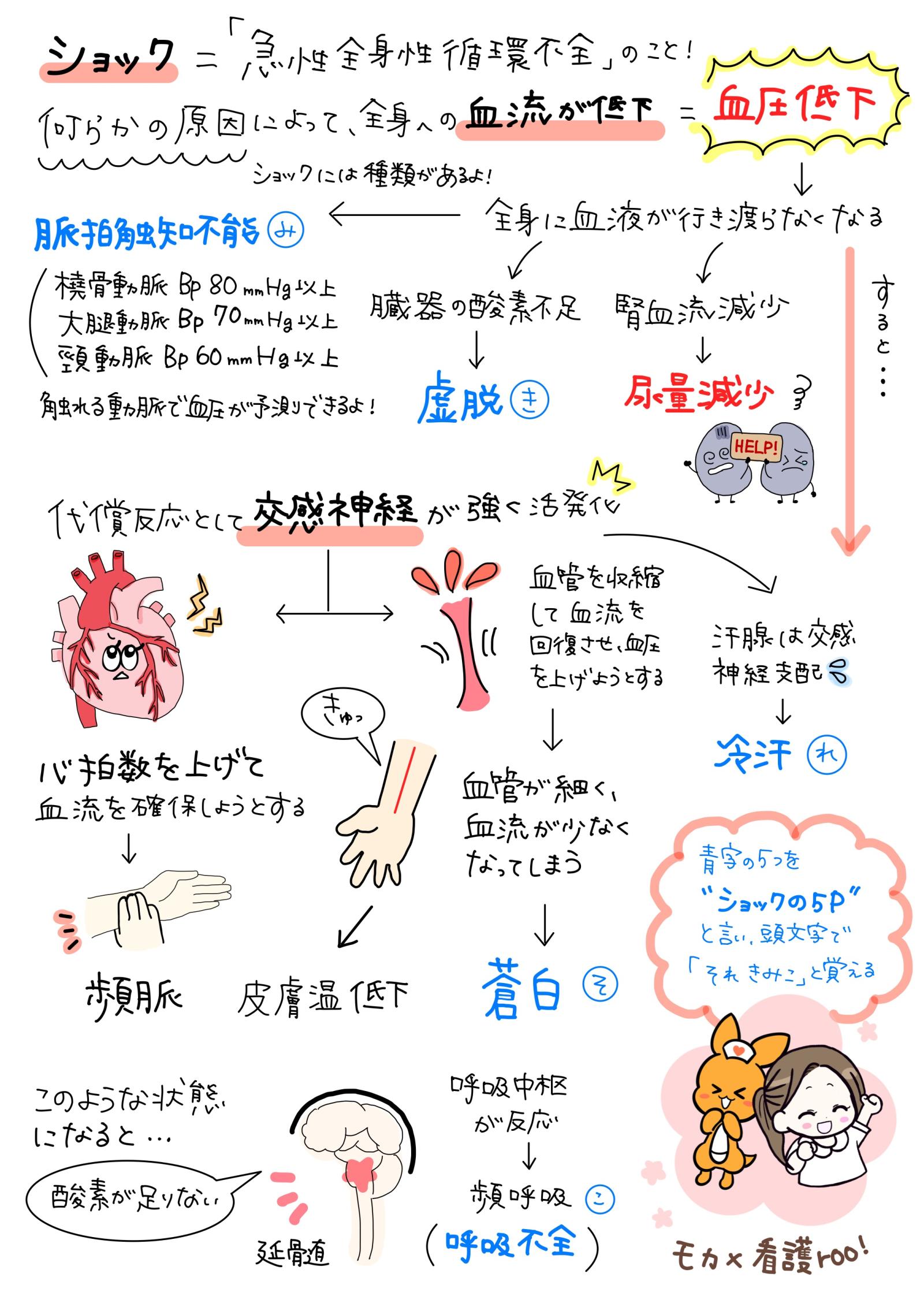 ショックの5Pとは？救急現場で見抜く5徴候と初期対応の全技術