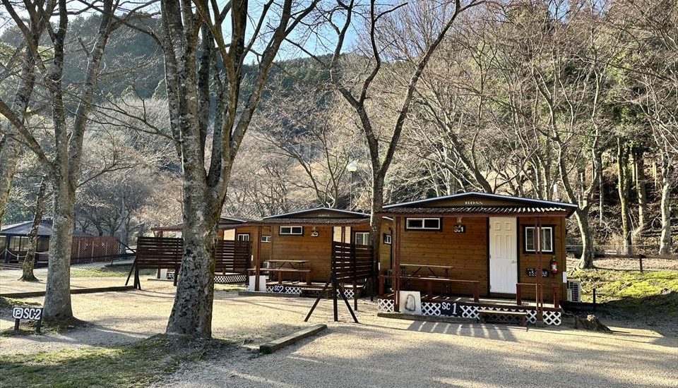 かもしかオートキャンプ場なぜ人気？予約争奪戦の裏技とリアルな評判