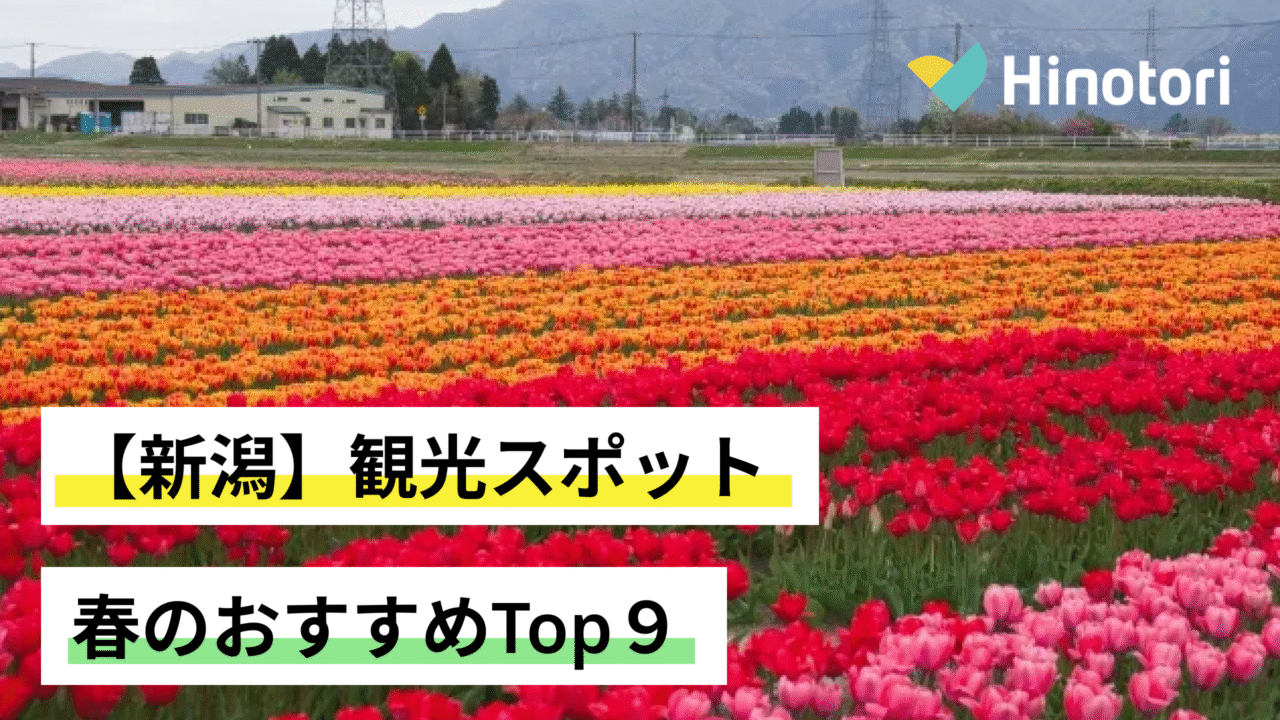 新潟名物みかづきのイタリアン徹底解剖！値段や長岡フレンドとの違い