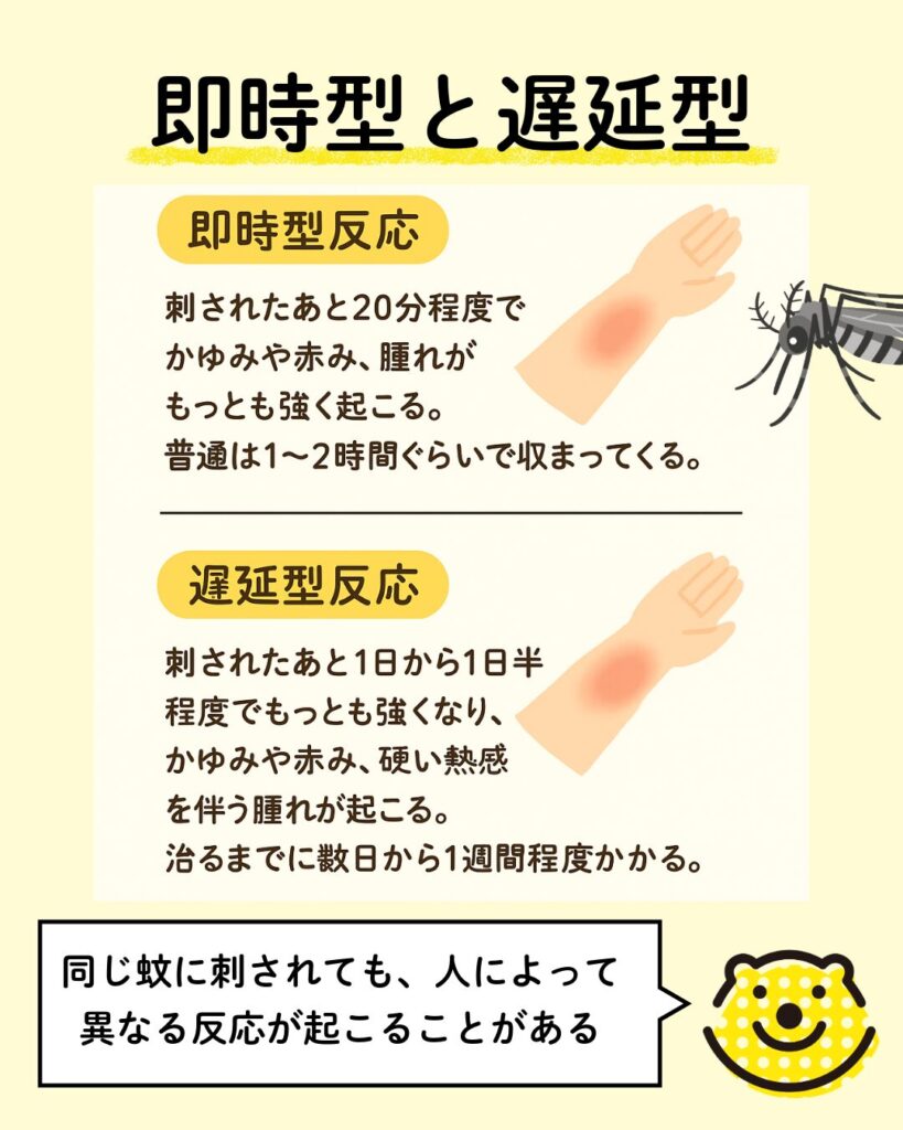 蚊に刺されの激しい痒みと腫れを即効鎮静！跡を残さない最新対策