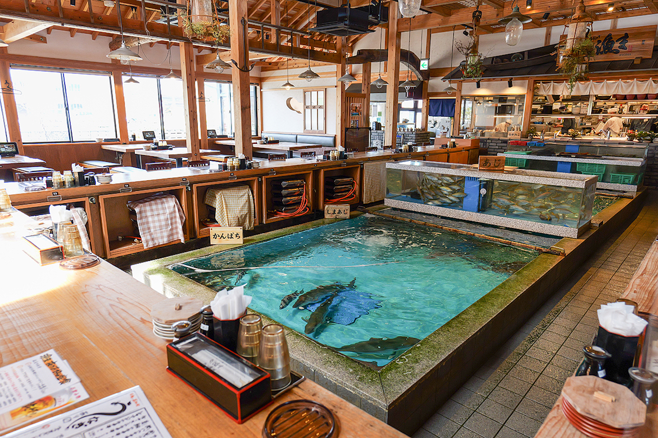 高知「活魚 漁ま」の真実！行列回避の裏技と羽釜飯×極上鮮魚を徹底解剖