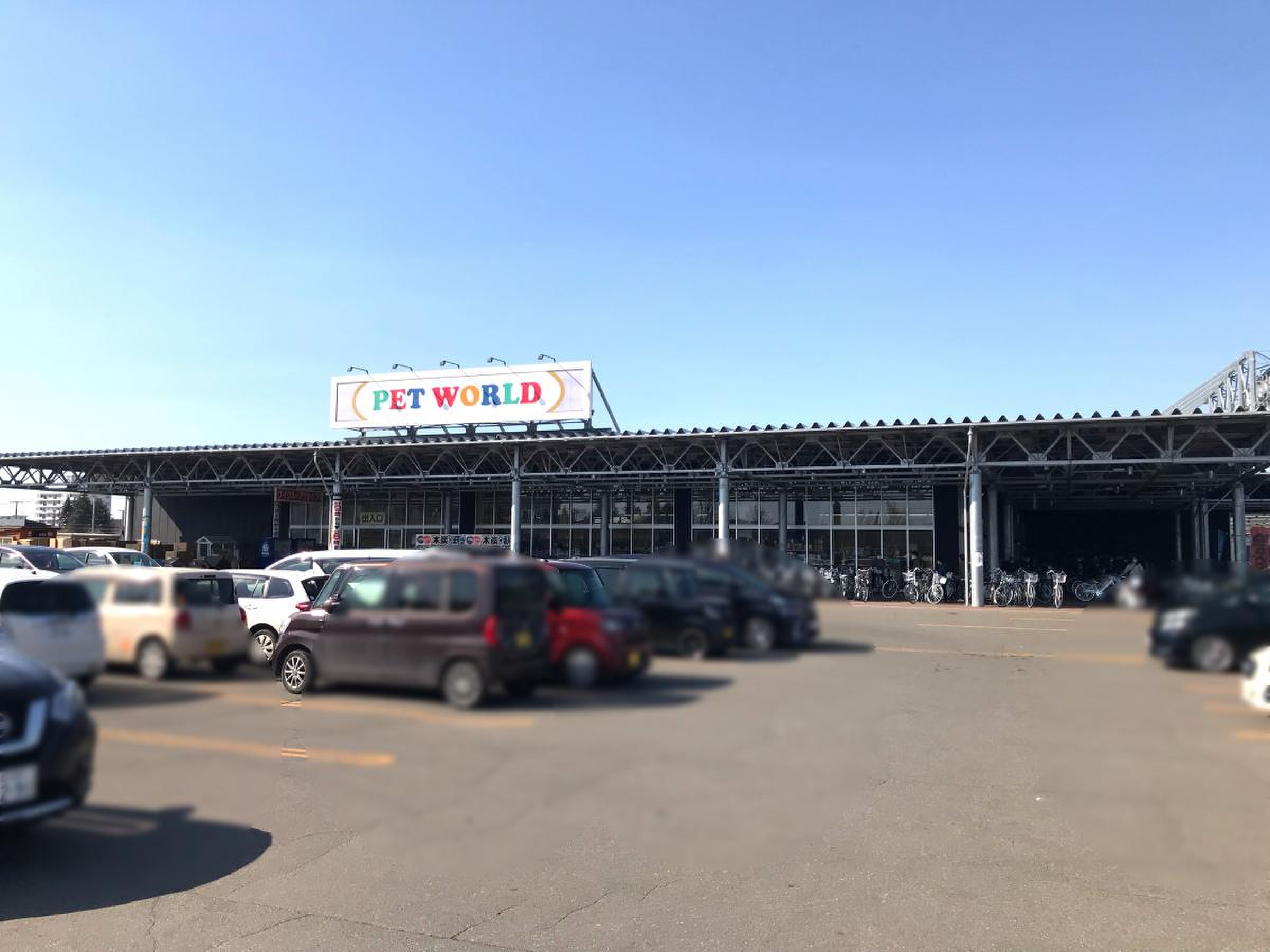ジョイフルエーケー帯広の最新情報！営業時間や噂の真相を徹底解説