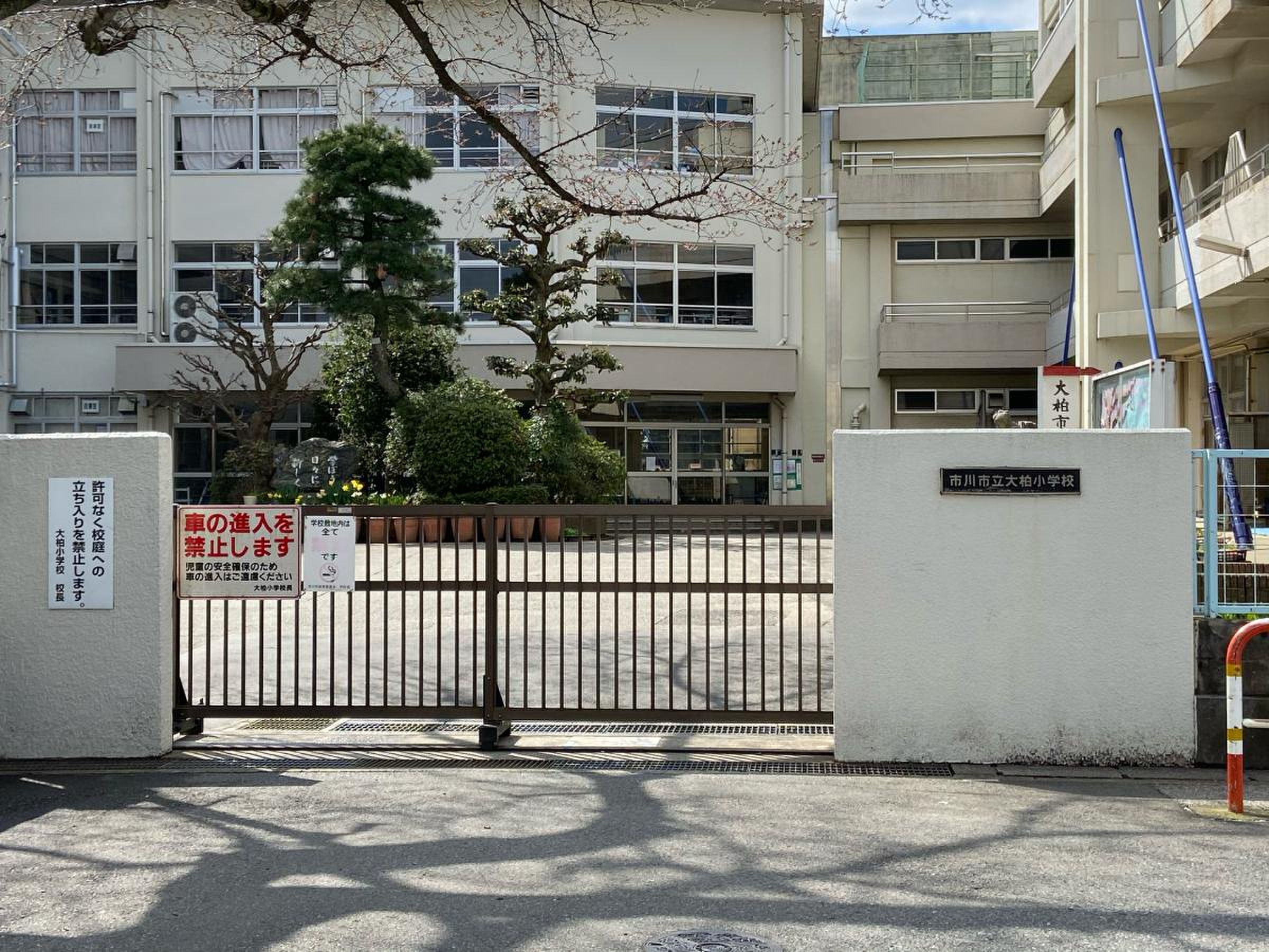 市川市立大柏小学校の評判と学区の実態は？中学受験や保護者の本音を検証