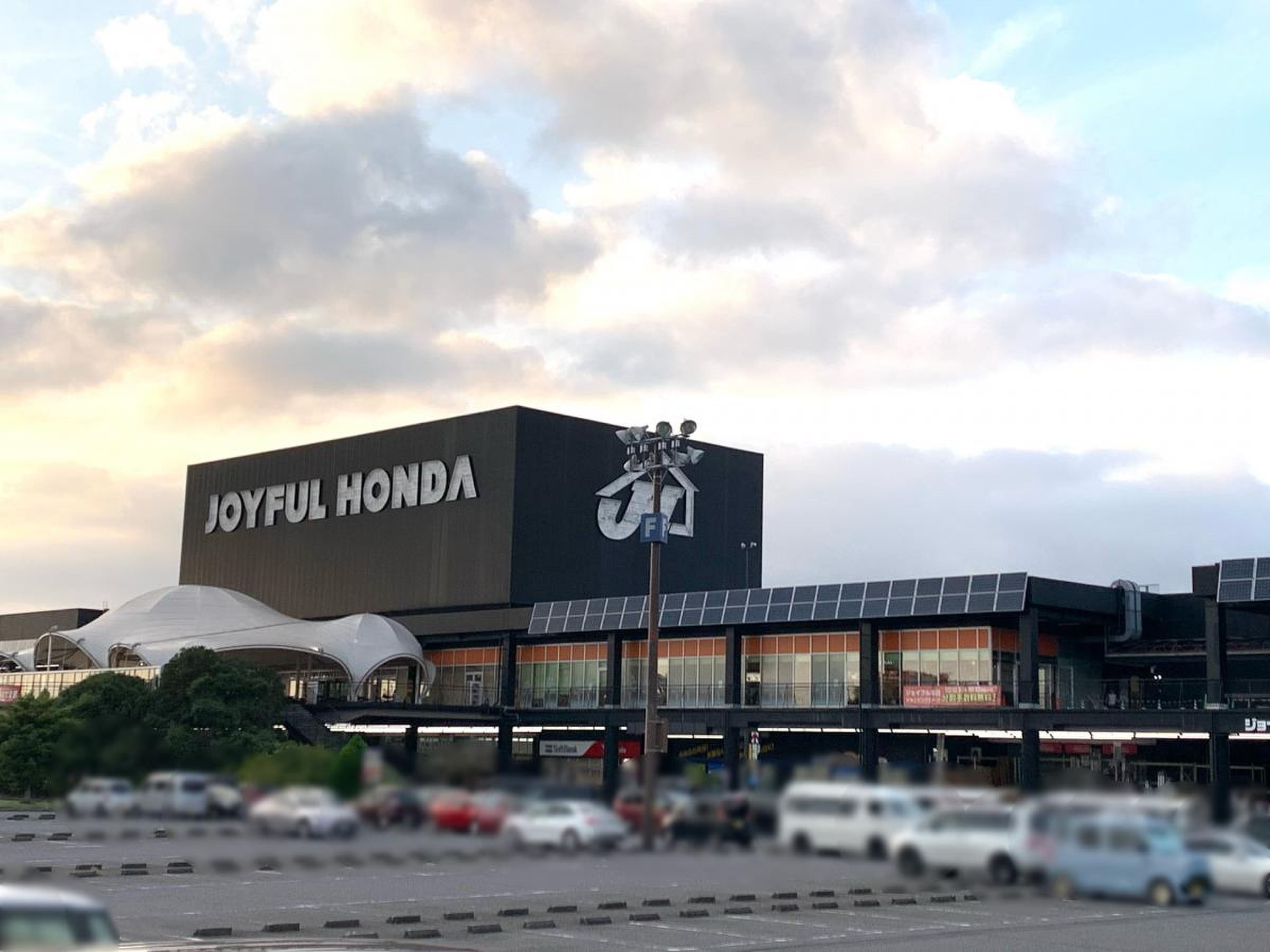 ジョイフル本田千葉ニュータウン店完全攻略！混雑回避と見どころ最新検証