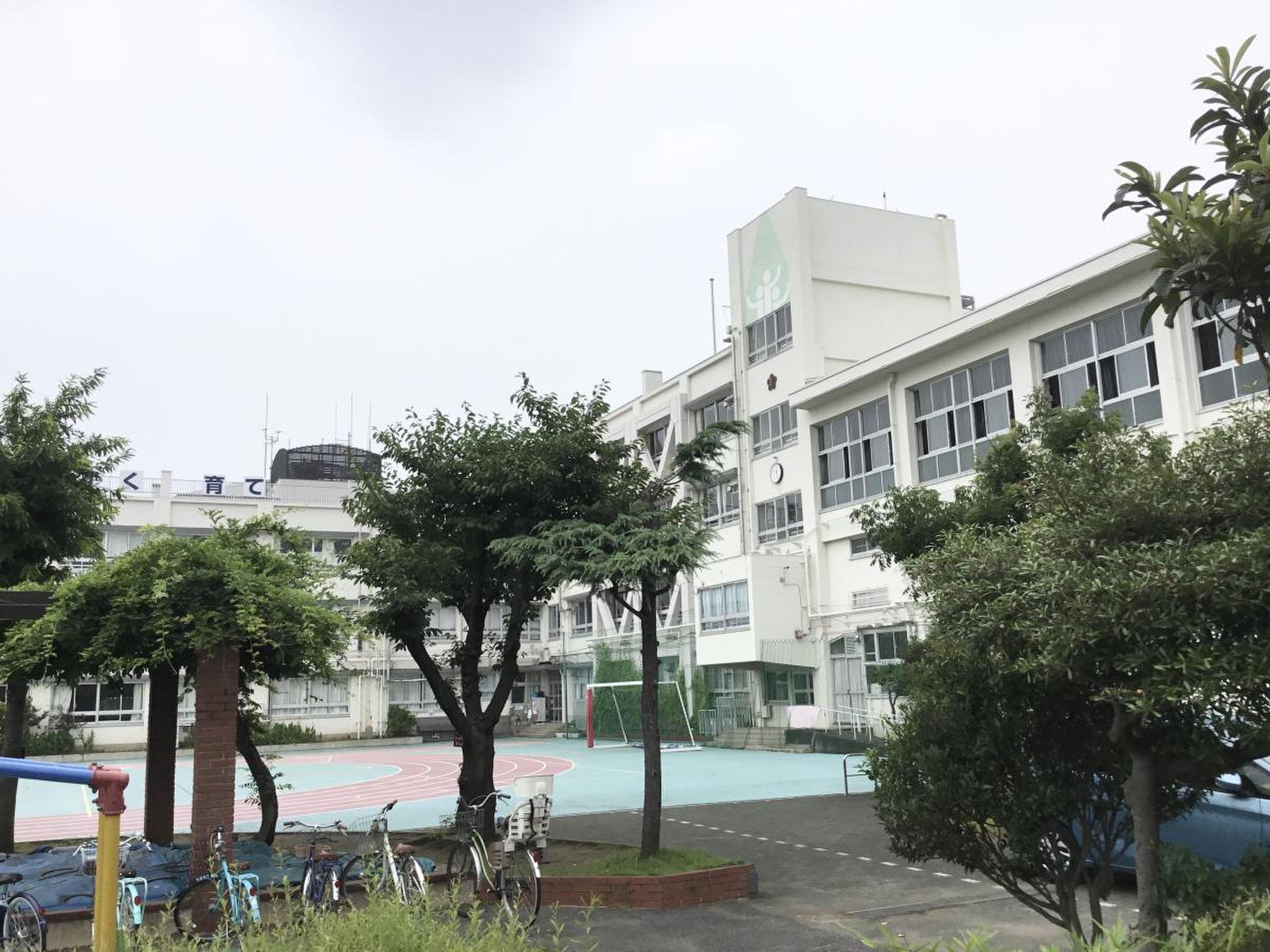 江戸川区立大杉小学校の評判と学区｜通学区域や進学先のリアルを徹底解説