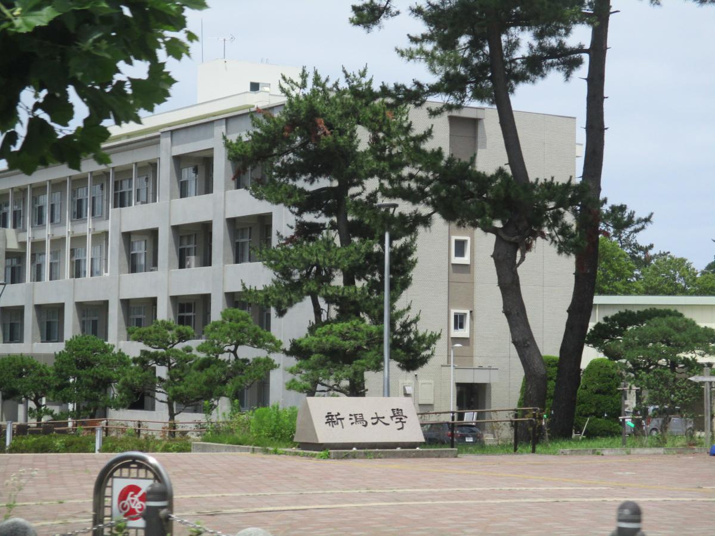 新潟大学五十嵐キャンパスのリアルな評判と広大すぎる敷地の実態