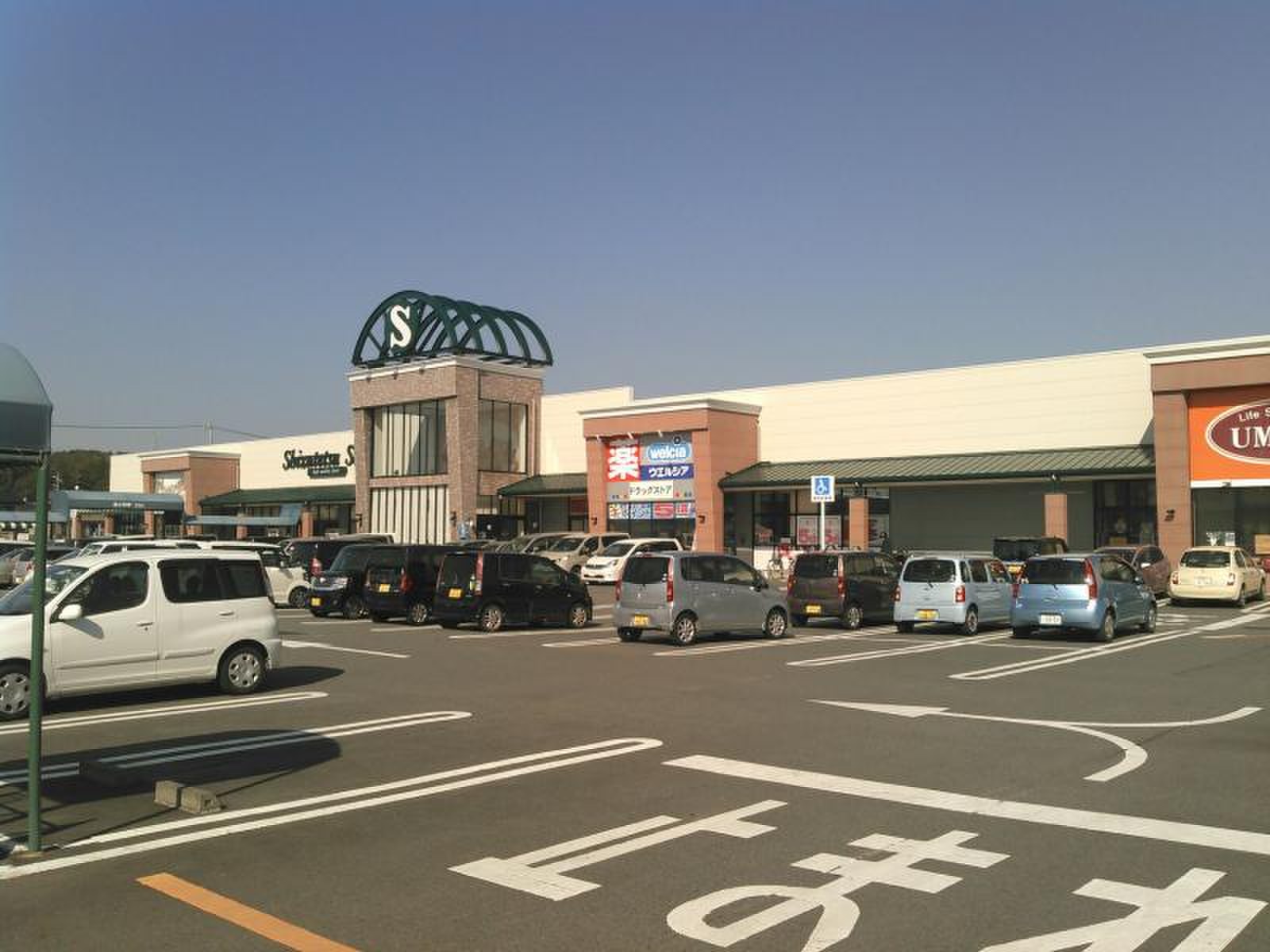 しずてつストア掛川店の最新攻略法！特売チラシや人気惣菜を徹底解剖