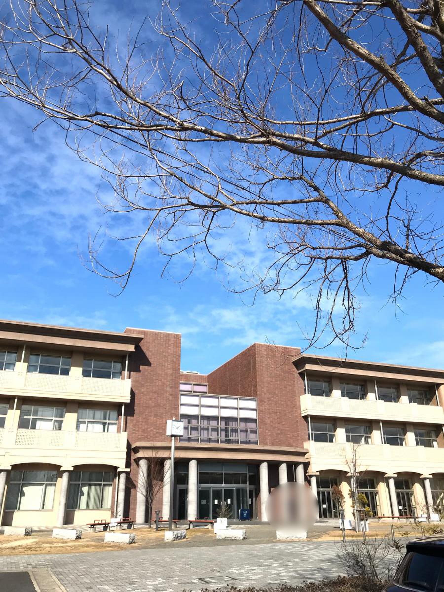 東海学園大学三好キャンパスの全貌！学部・評判とバスの実態を徹底検証