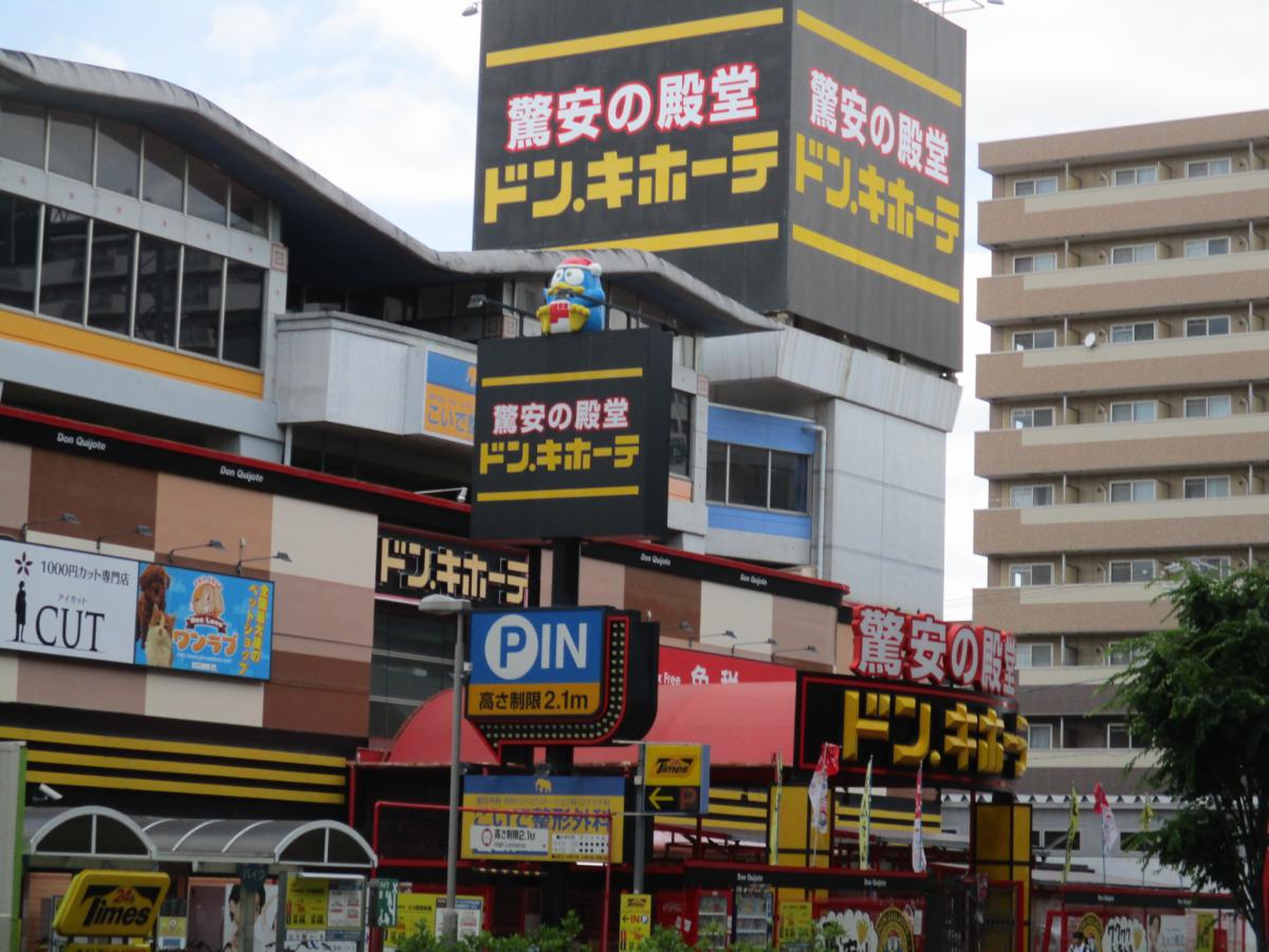 ドンキパウ中川山王店の駐車場無料条件と深夜の混雑攻略ガイド2026
