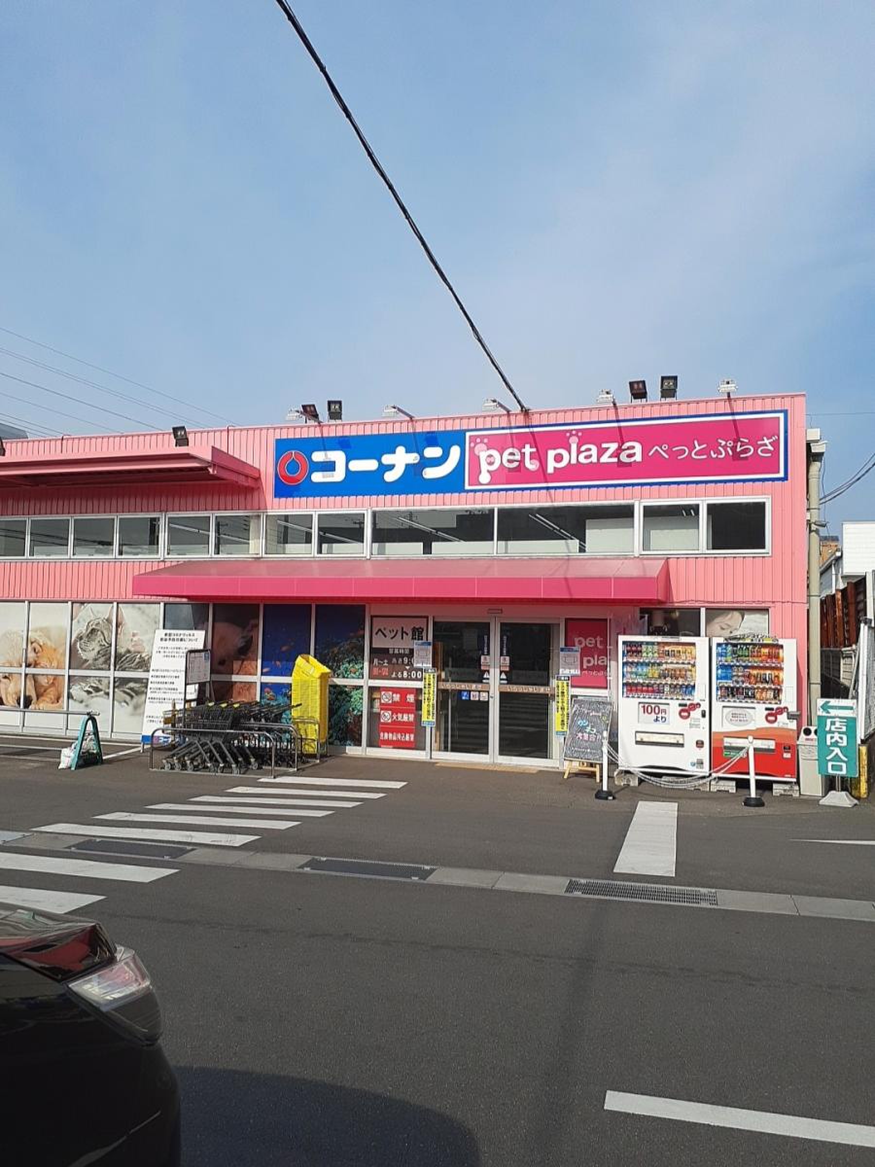 コーナン今宿店の最新営業時間とチラシ情報｜混雑や噂の真相を徹底取材