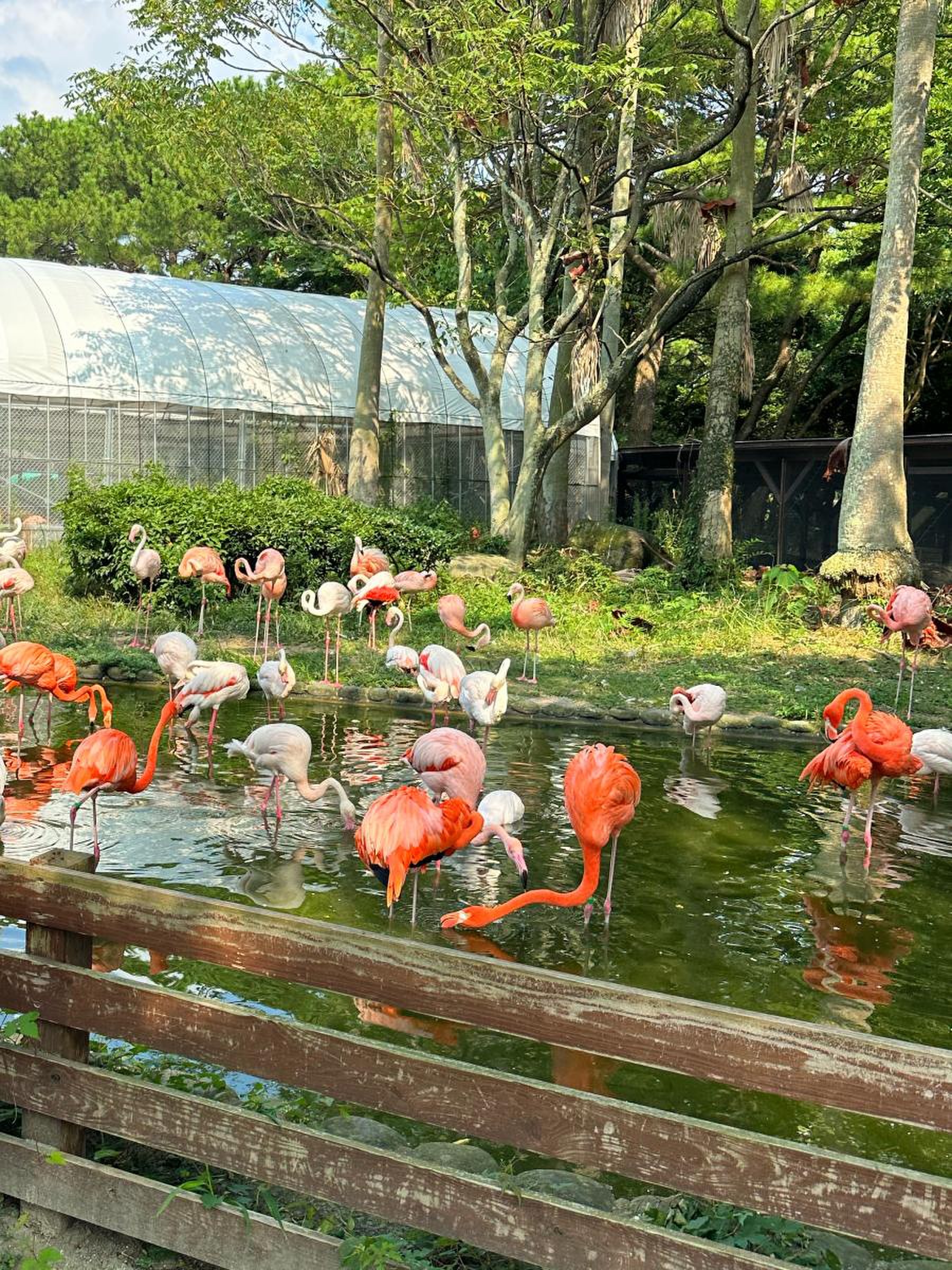 海の中道海浜公園動物の森の料金は無料？所要時間や見どころ完全ガイド