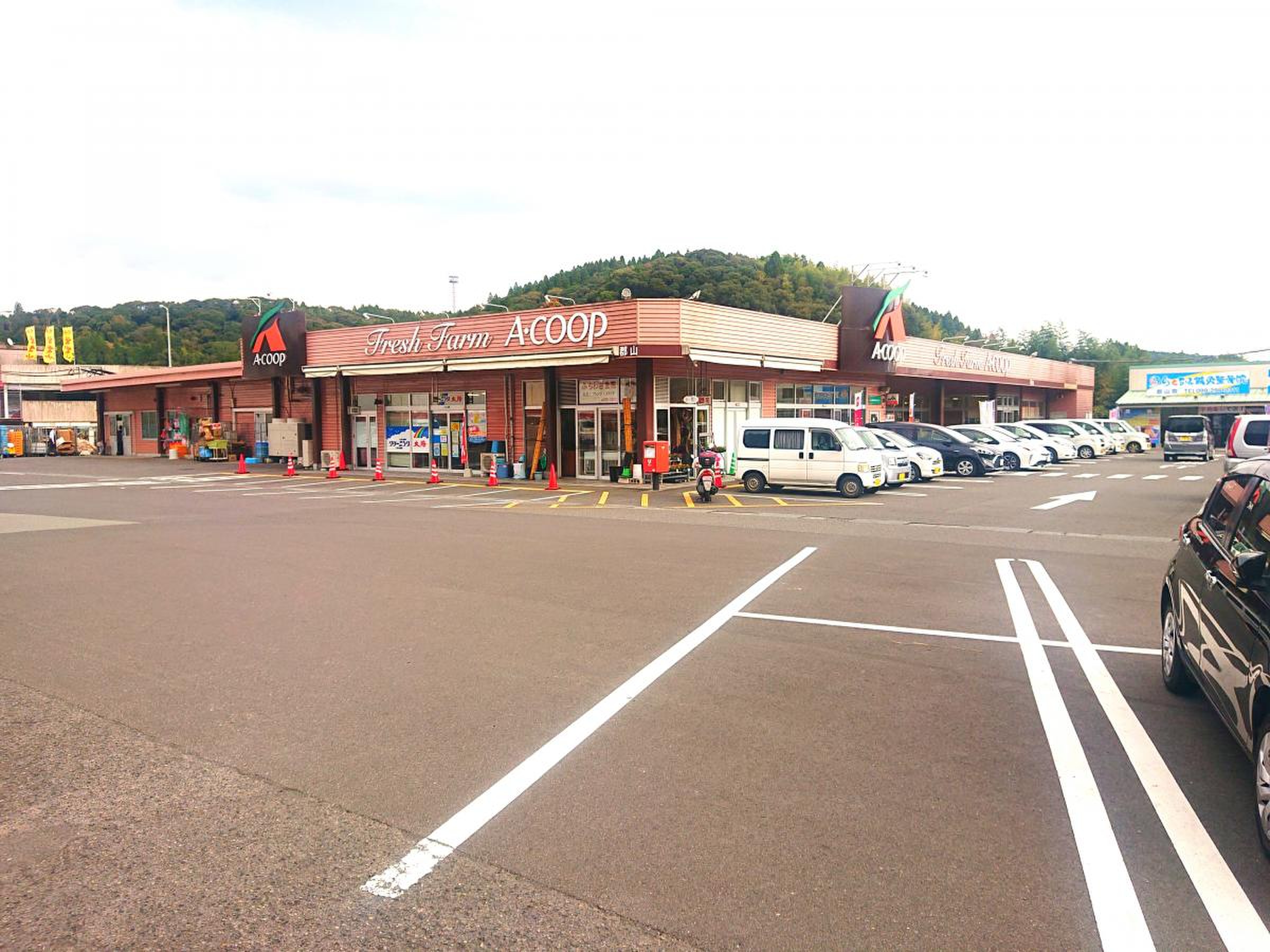 Aコープ郡山店の営業時間と特売日チラシ攻略！新鮮産直と混雑の真相