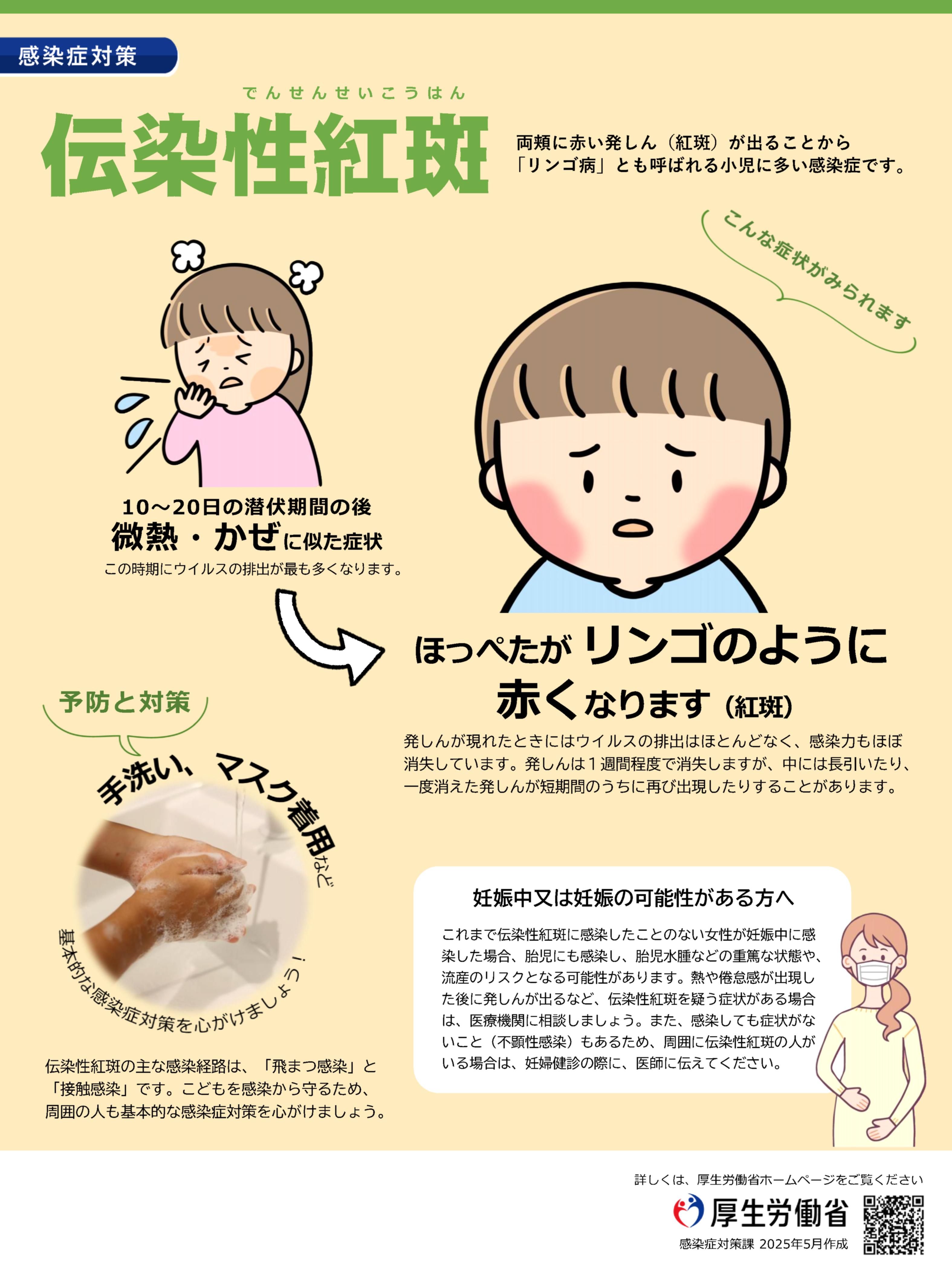 りんご病の症状とは？大人の重症化リスクと妊婦への危険性を徹底解説