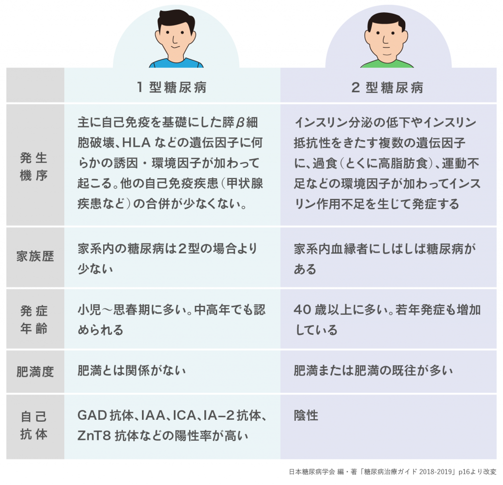 糖尿病1型と2型の違いとは？原因・初期症状と2026年最新治療の真相