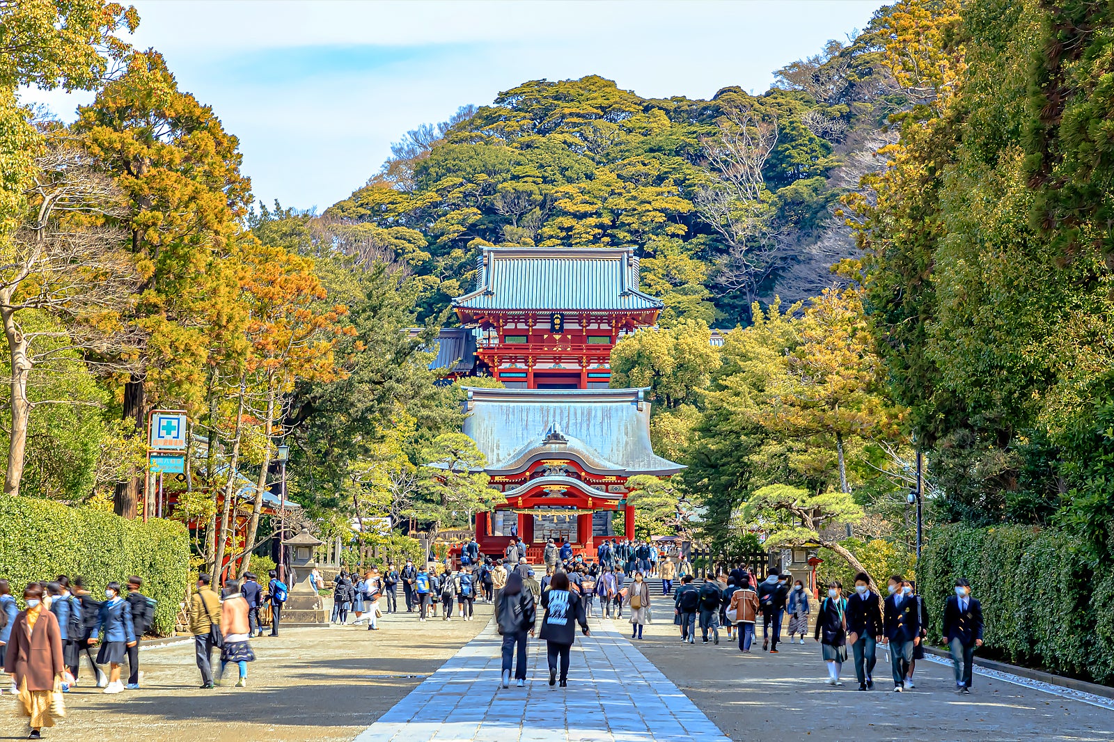 鎌倉の竹林「報国寺」の現在地！混雑回避と抹茶の作法・英勝寺徹底比較