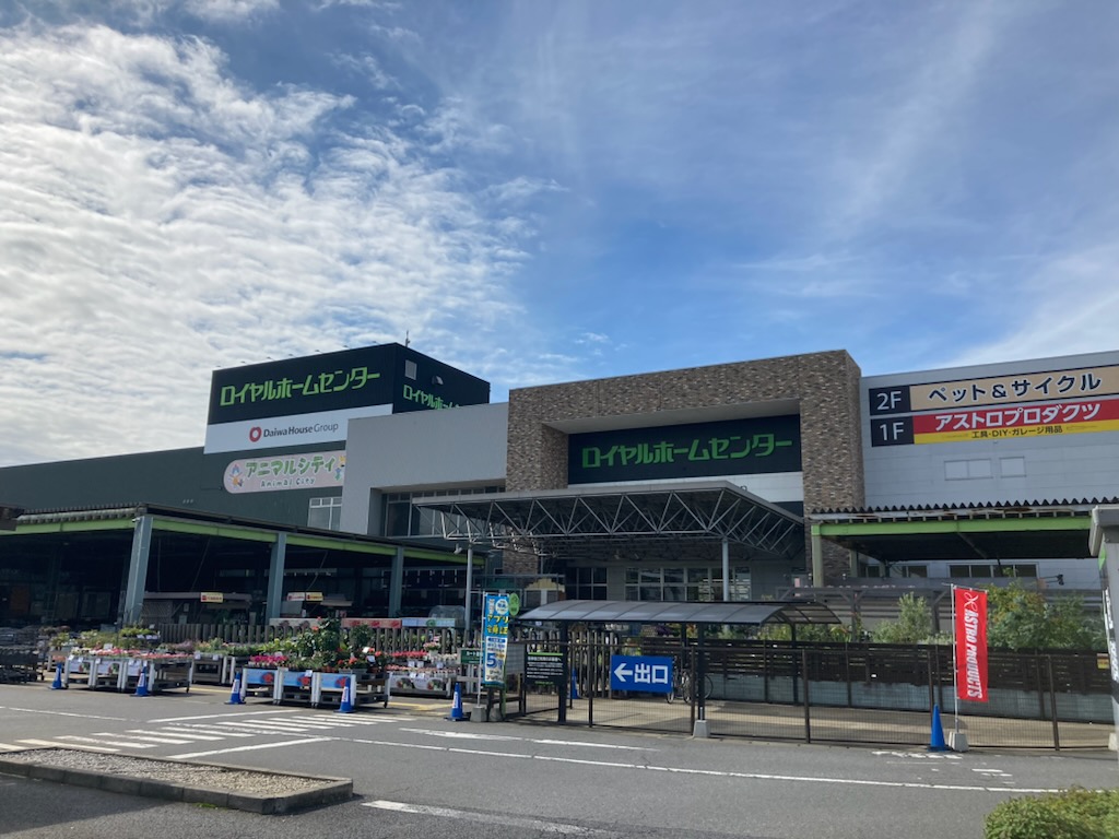 ロイヤルホームセンター千葉北店を徹底解剖！プロと愛好家を惹きつける理由