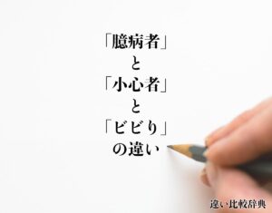 【速報】 小心 者 と は 話題のバズ動画・画像 #873