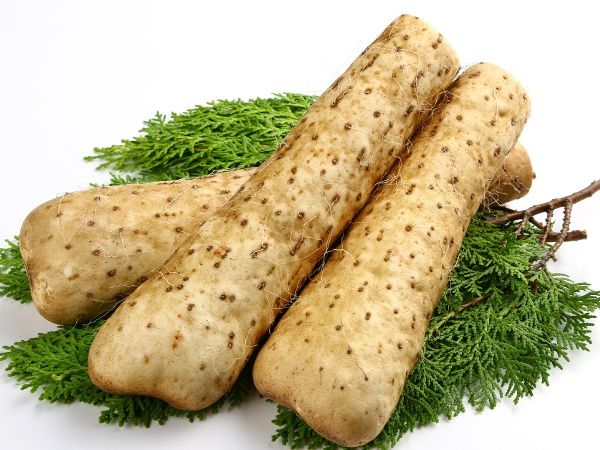 山芋の鉄板焼きを自宅で完全再現！ふわとろ極上レシピと黄金比