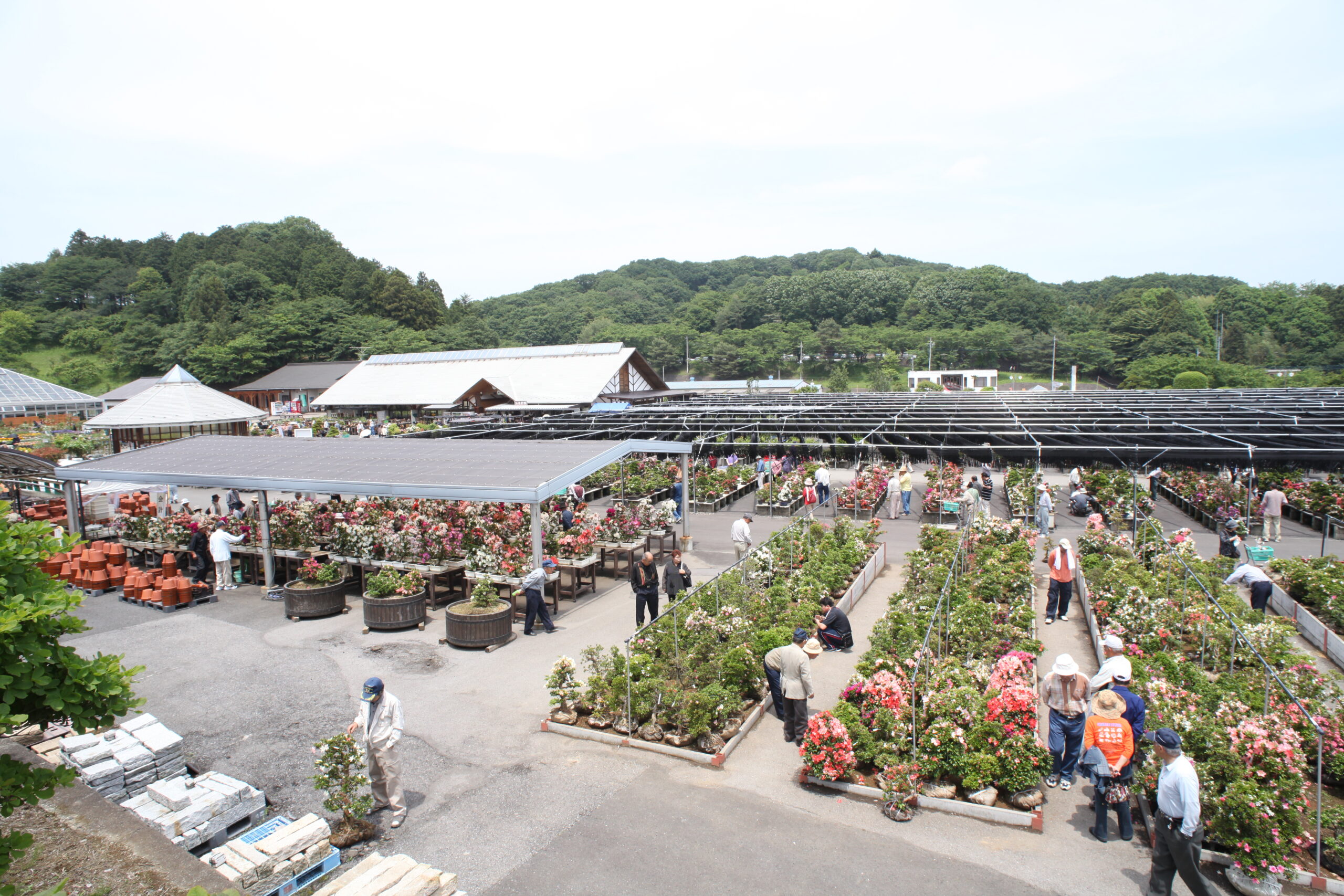 宇都宮お土産おすすめ決定版！餃子以外から駅ナカ限定まで徹底解説