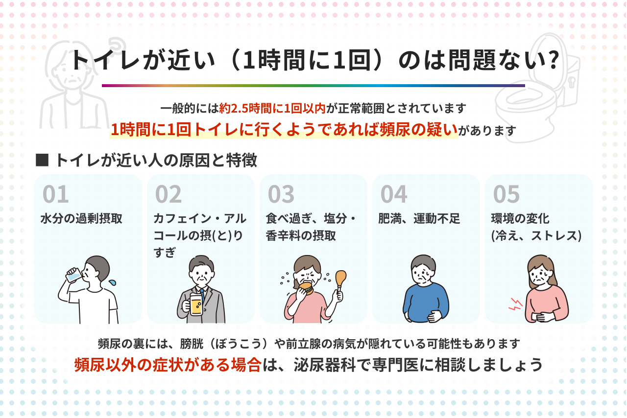トイレが1時間に1回は病気？頻尿の決定的な原因と受診目安を徹底解説