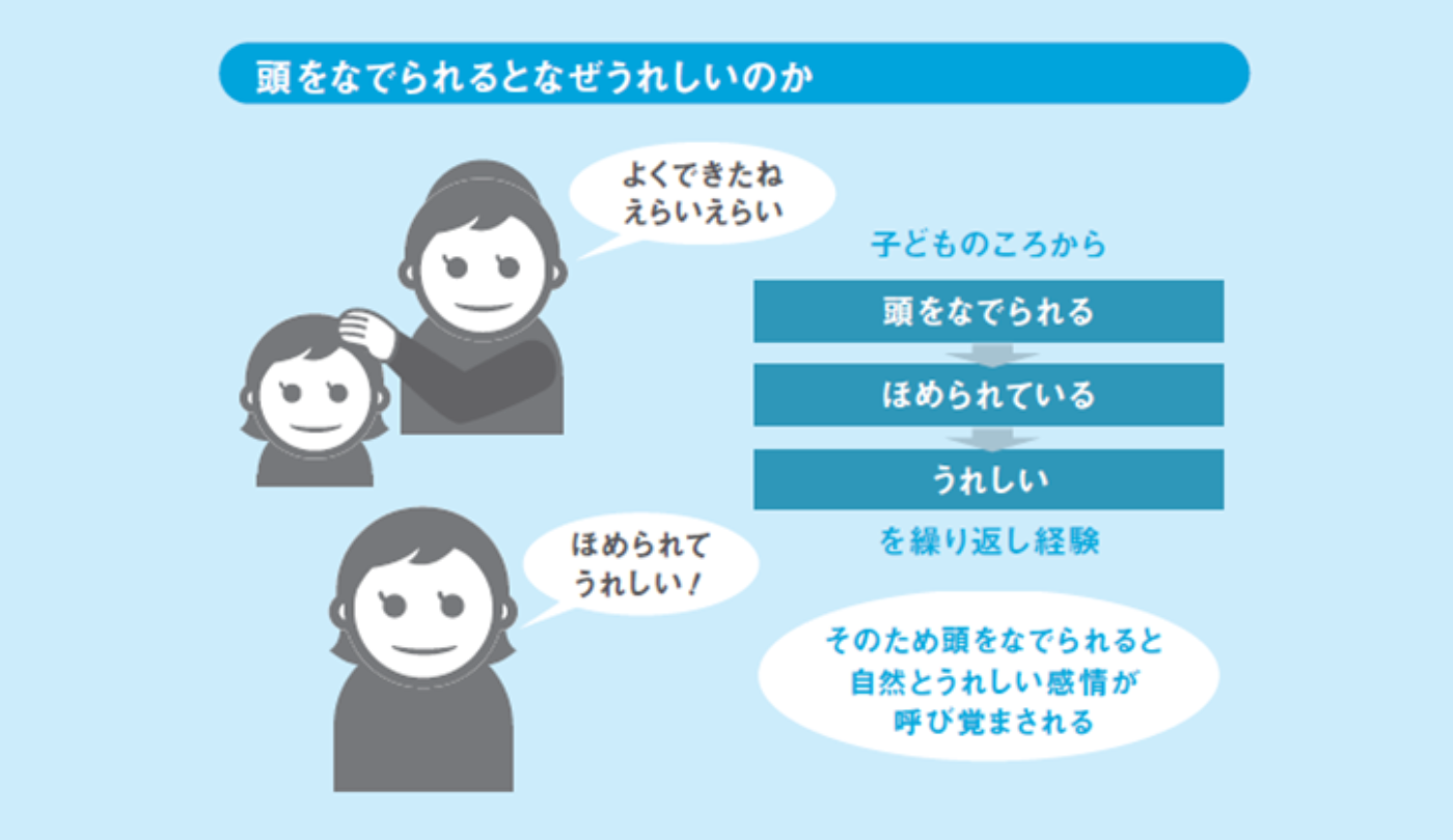 頭を撫でる心理の真実｜脈ありと下心を見抜く決定的基準【2026】