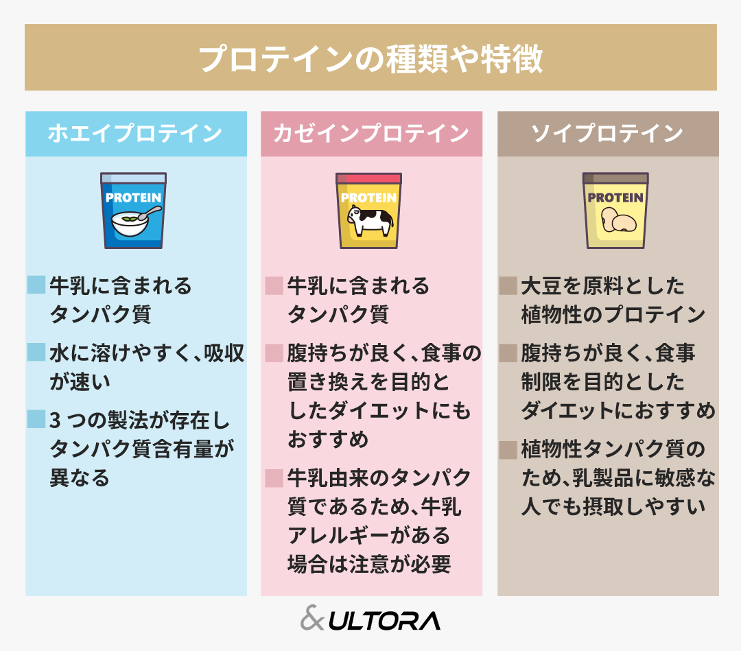 ソイとホエイプロテインの違いを徹底比較！効果と太る真相【2026】