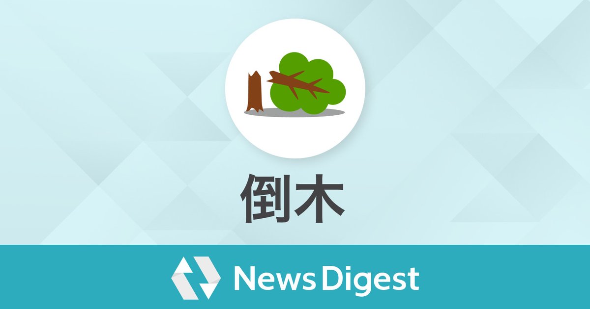宇都宮の街路樹が突風で崩落——通勤網麻痺と停電が突きつけた都市防災の盲点（2026年最新リポート）