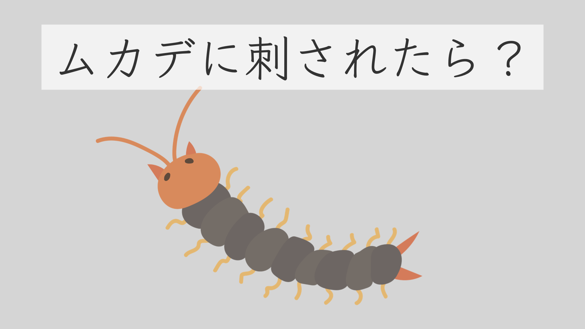 ムカデに刺されたら冷やすのはNg？43度温水で激痛を抑える最新対処法