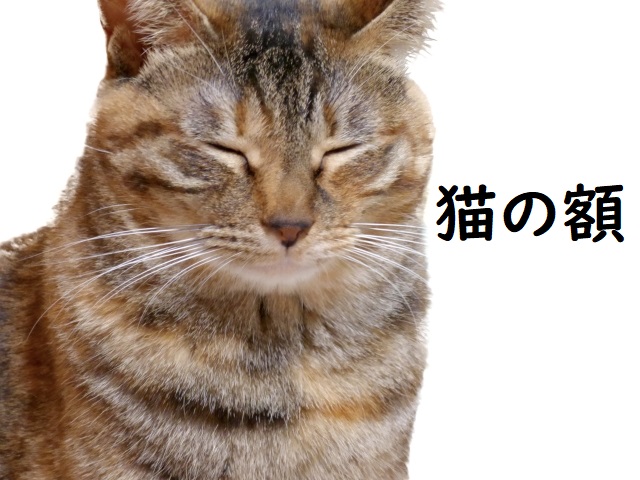 田辺中央病院の評判と混雑実態は？予約・面会制限から診療科まで徹底検証
