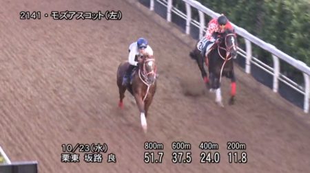 【経歴】 スワン ステークス 追い 切り 最新出演情報まとめ #832