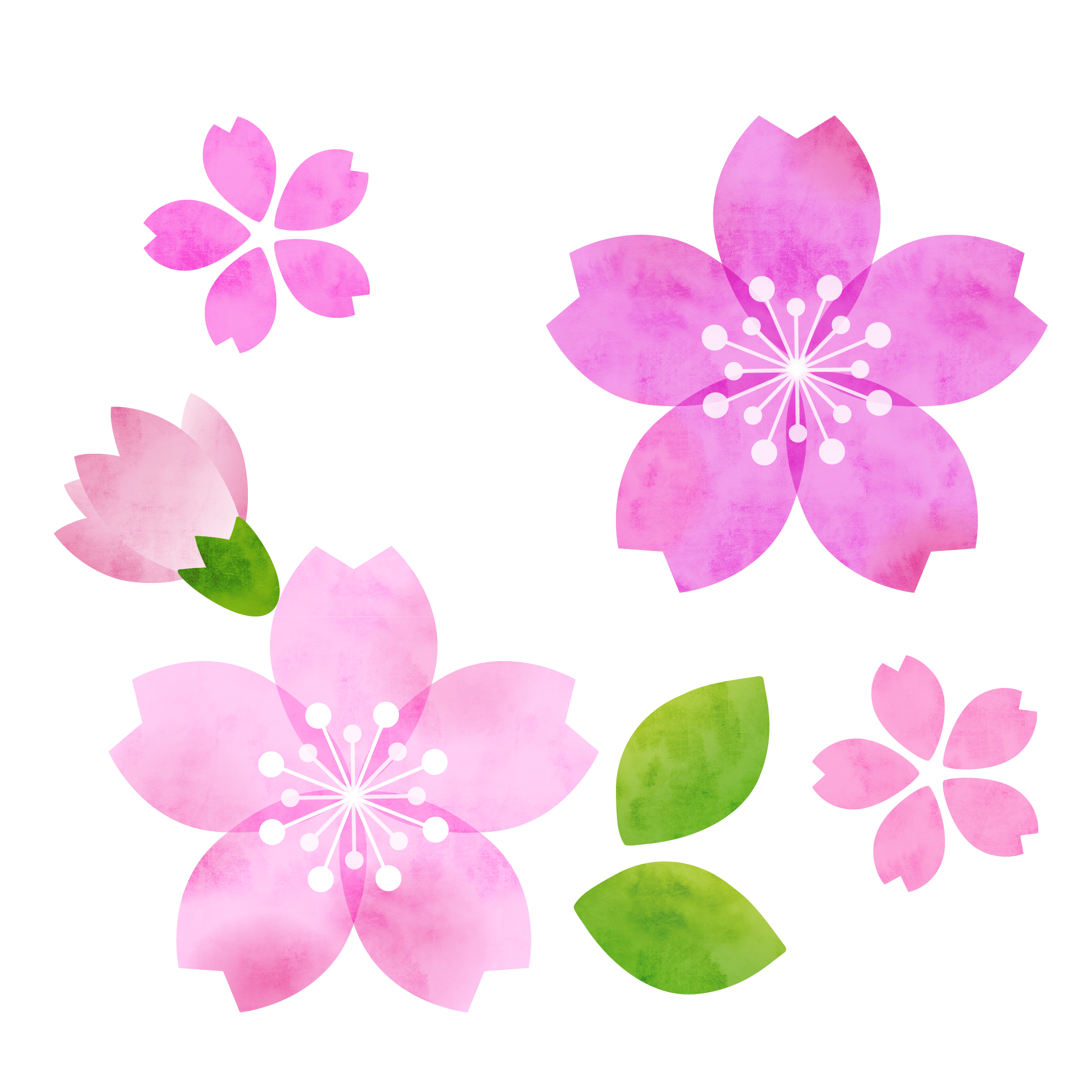 桜のかわいいイラスト2026！無料＆商用Okな人気素材と活用術