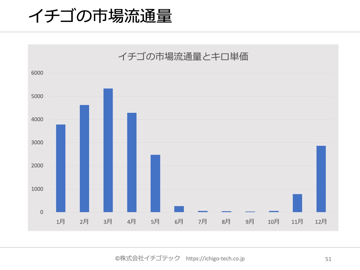 いちごの旬は冬ではない？本当に美味しい時期と品種別の食べ頃【2026】