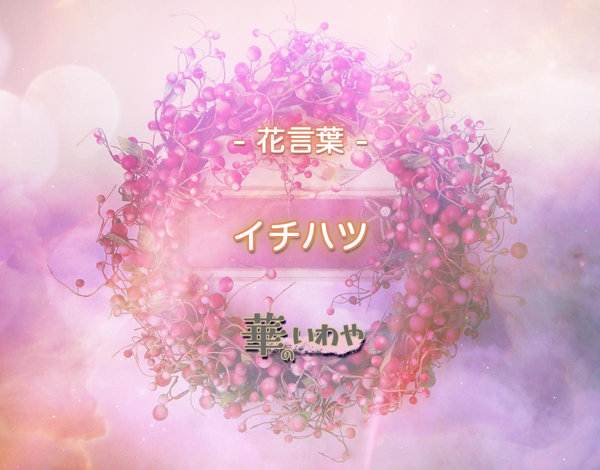 イチハツの花言葉と由来｜屋根の防災植物の歴史と見分け方徹底解説