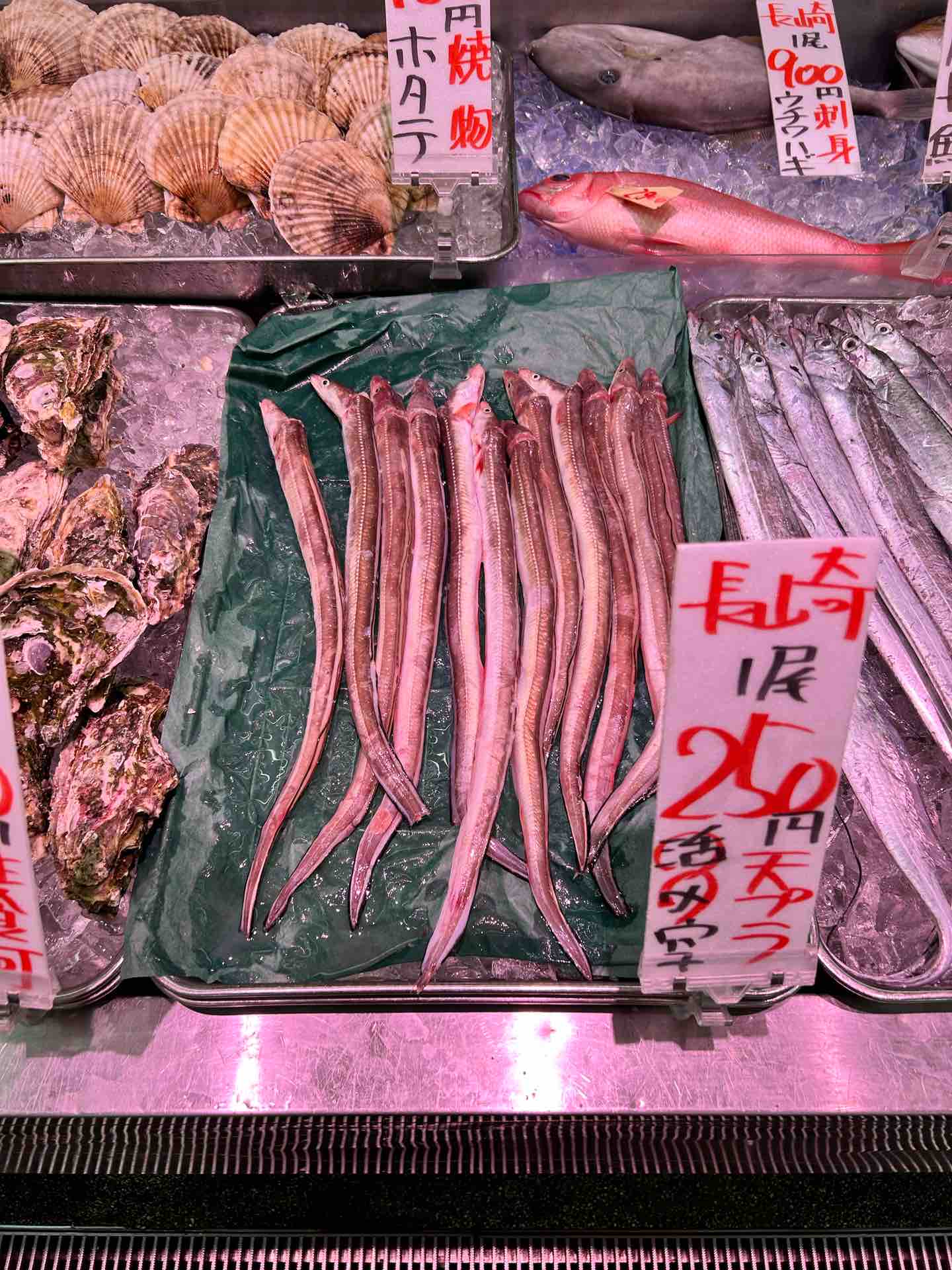 角上魚類諏訪店はなぜ連日大行列？地元民が明かす人気の真相と狙い目時間