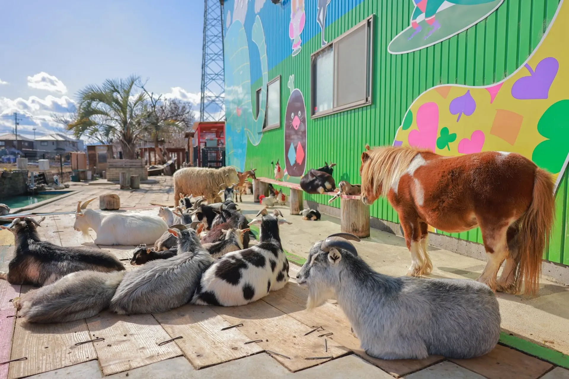 松阪市タケガワふれあい動物園はなぜ無料？見どころと最新情報を徹底解剖