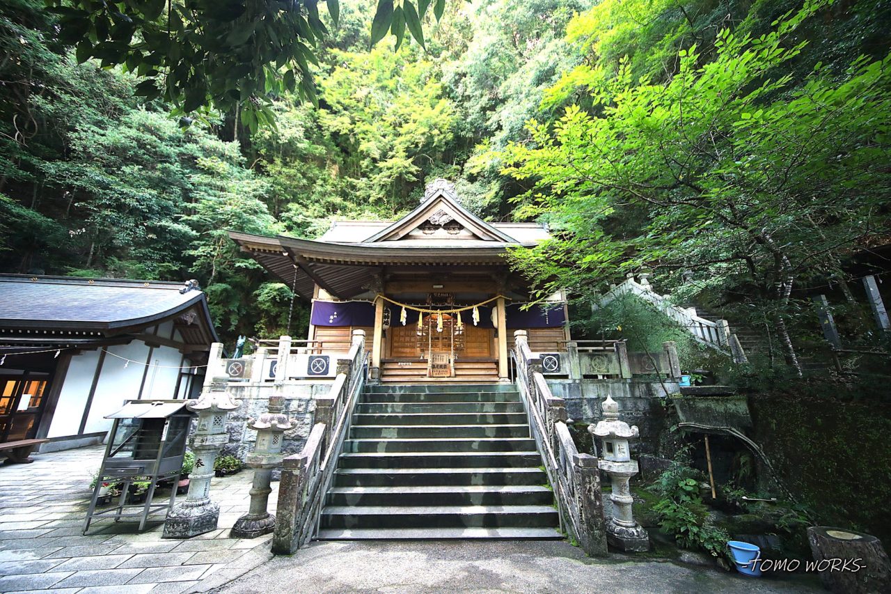 徳島・賢見神社の憑き物落としとは？お祓い効果と初穂料の真実【2026】