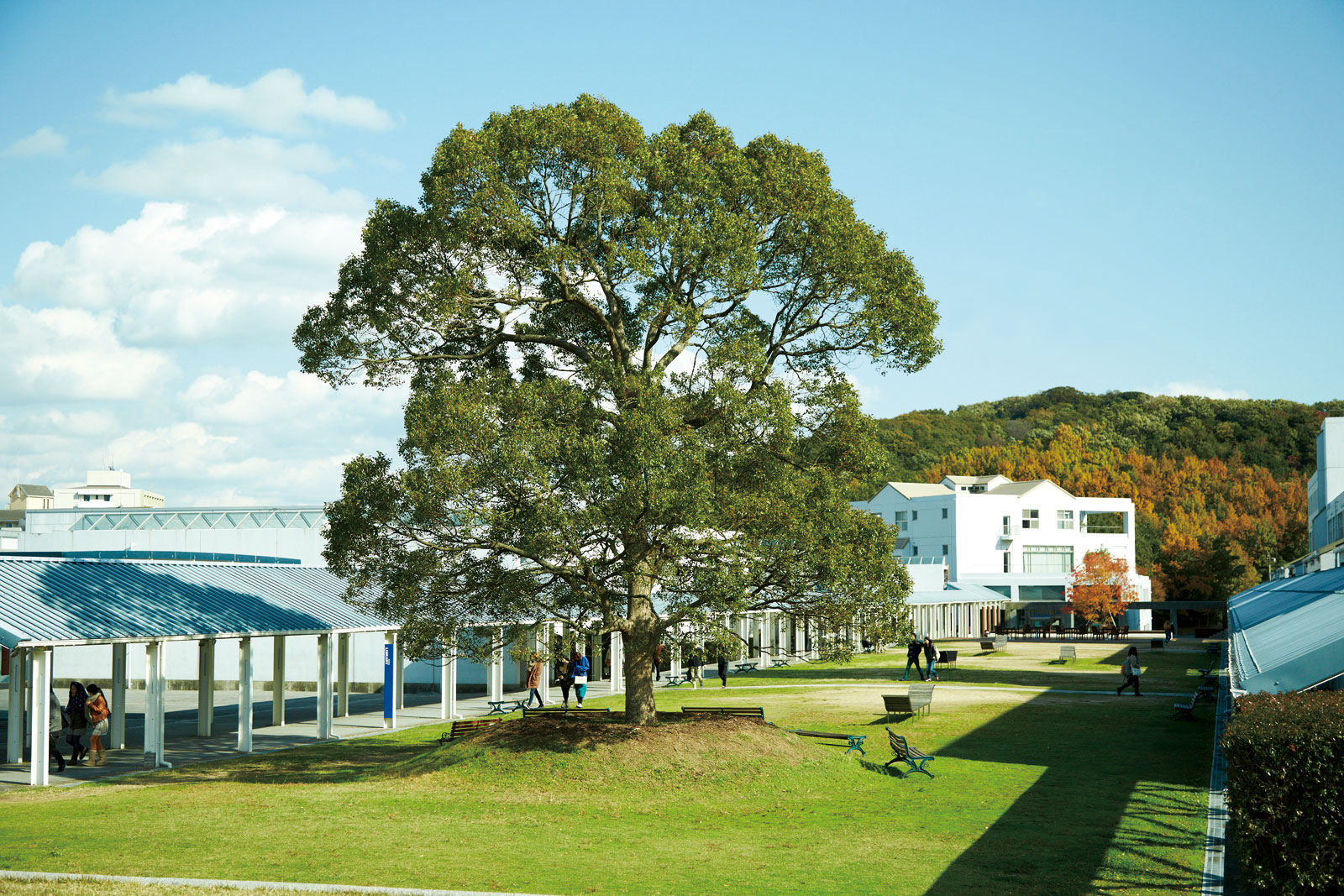 神戸芸術工科大学の評判と偏差値｜やばい噂の真相と就職実績を徹底検証