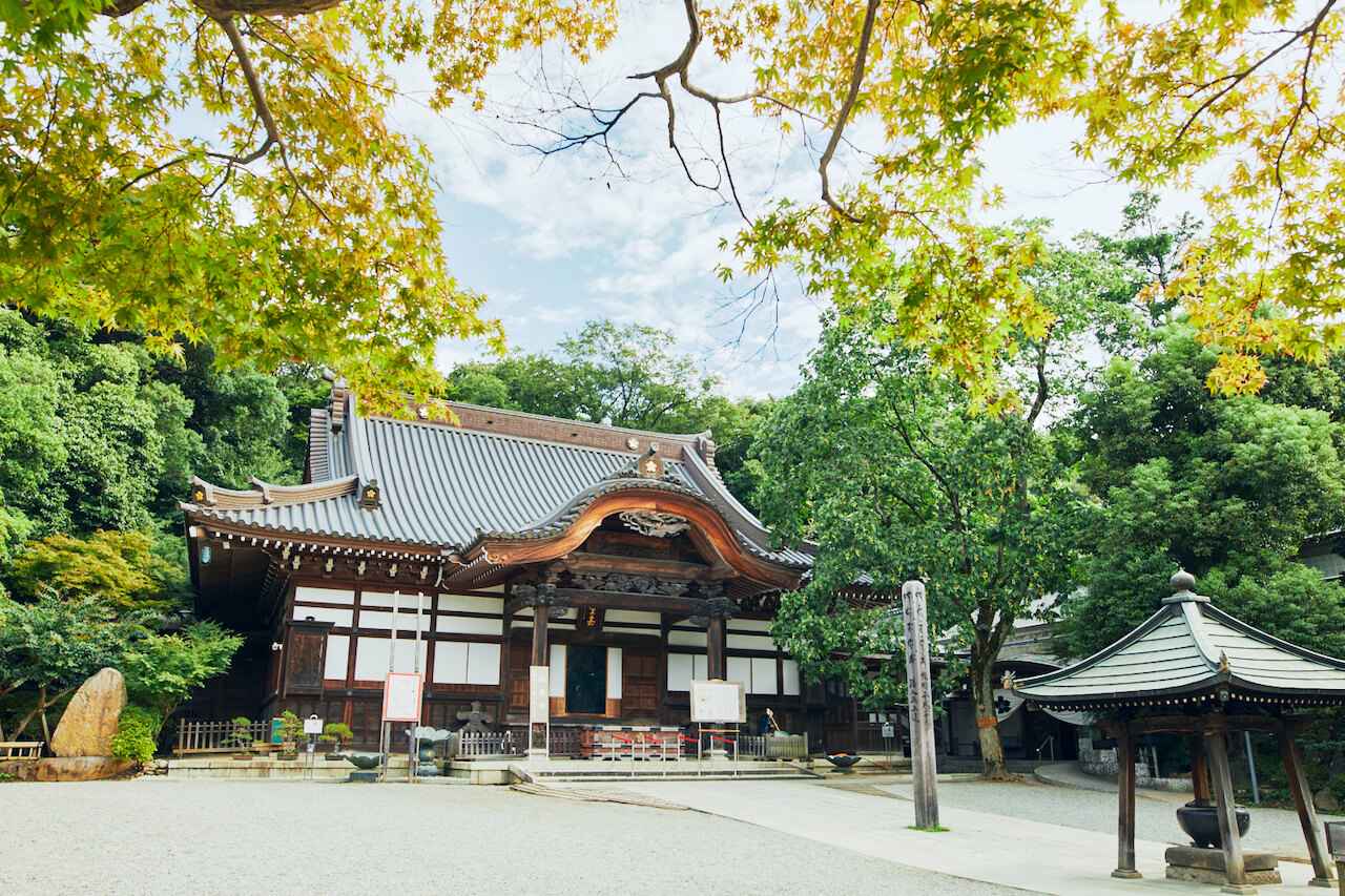 深代寺は誤表記？調布・深大寺の名物そばと最新混雑攻略【2026年版】