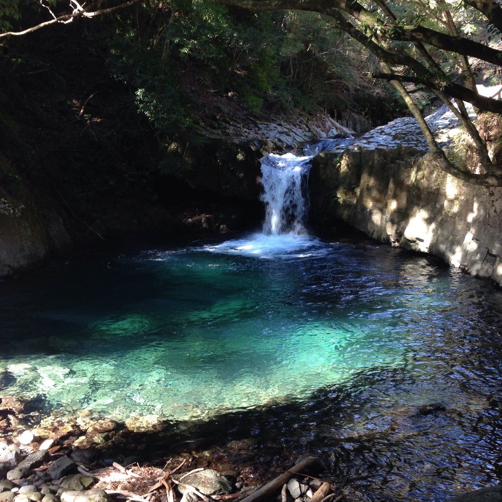 熱川観光は本当に寂れた？噂の真相と今行くべき絶景温泉・グルメ完全版