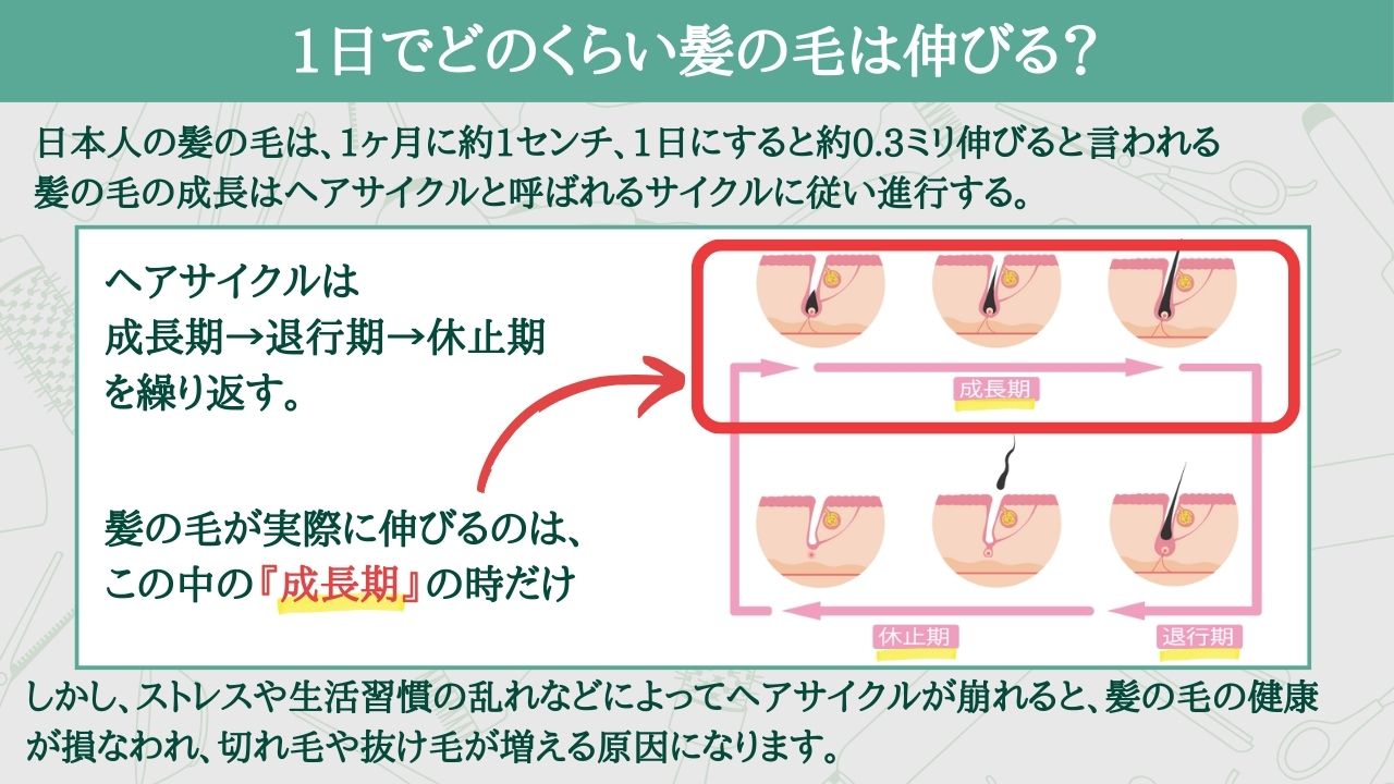 菊池カントリークラブの評判と料金｜2026年最新コース攻略と噂の真相