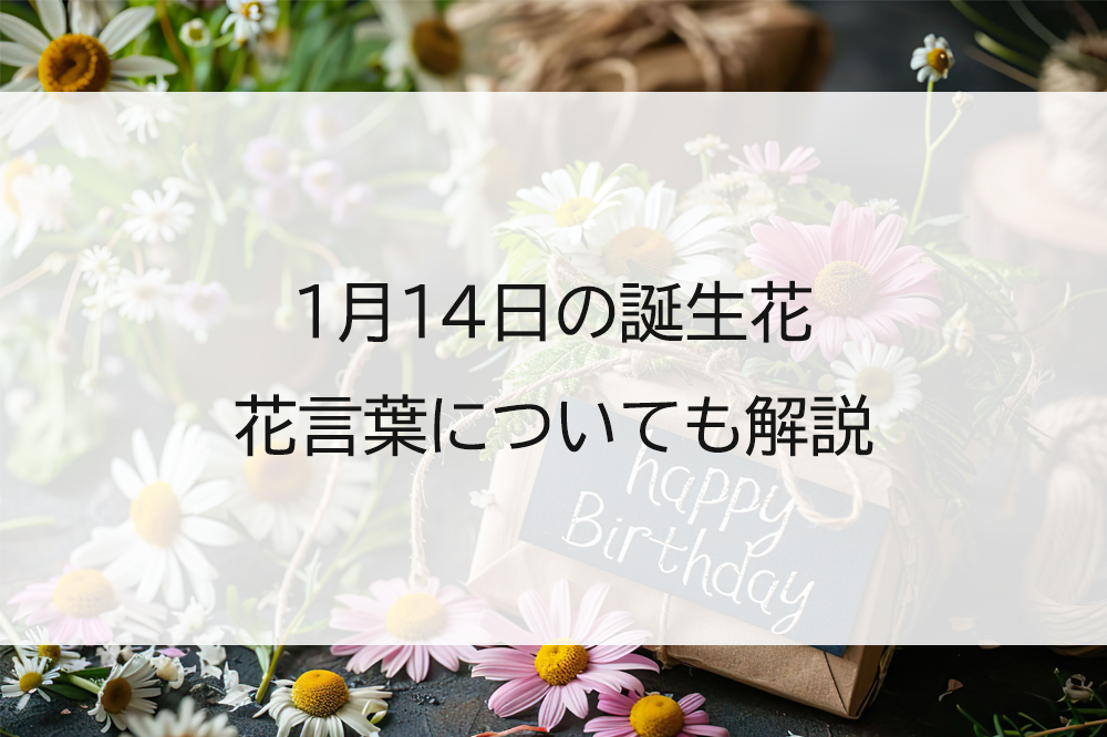 知らないと絶対損する！誕生日月特典の裏ワザと優待クーポン大全
