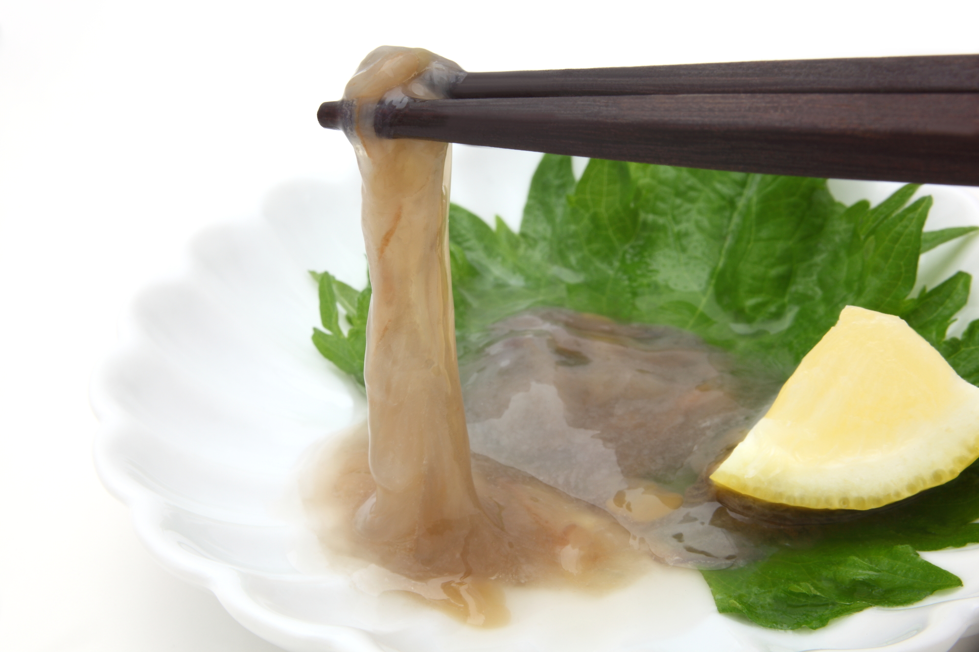 日本三大珍味「このわた」の正体とは？味の真相・食べ方と値段相場を解剖